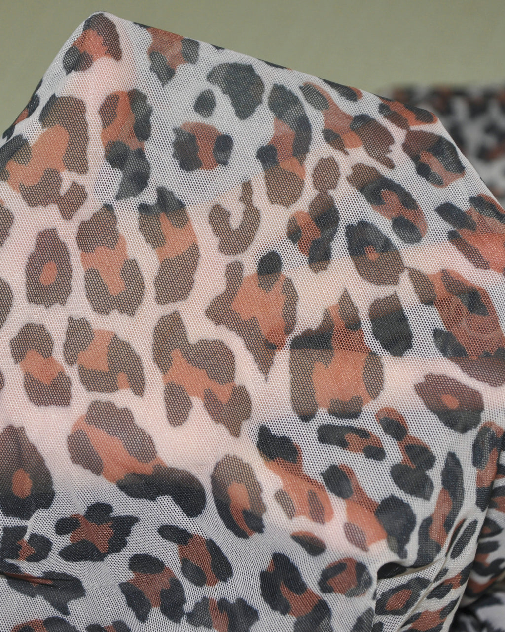 Sheer Cheetah One Piece Swimsuit Womens Thong Bathing Suit for Women